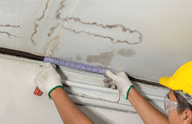Reliable Mold Remediation contractor in Dover, NH by Water Damage Irwin